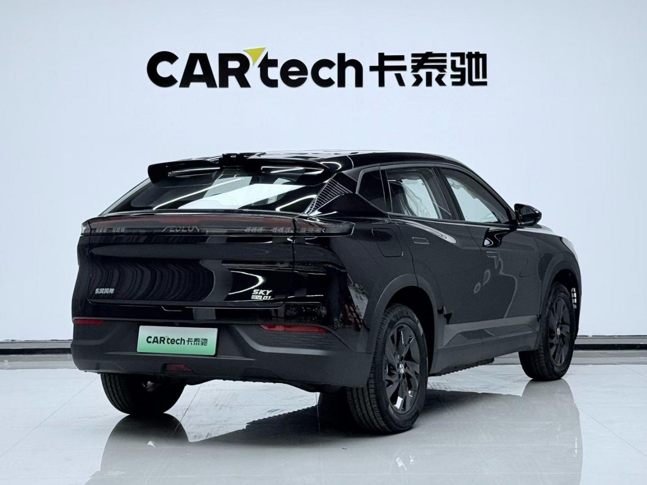 Dongfeng SKY EV01 2025