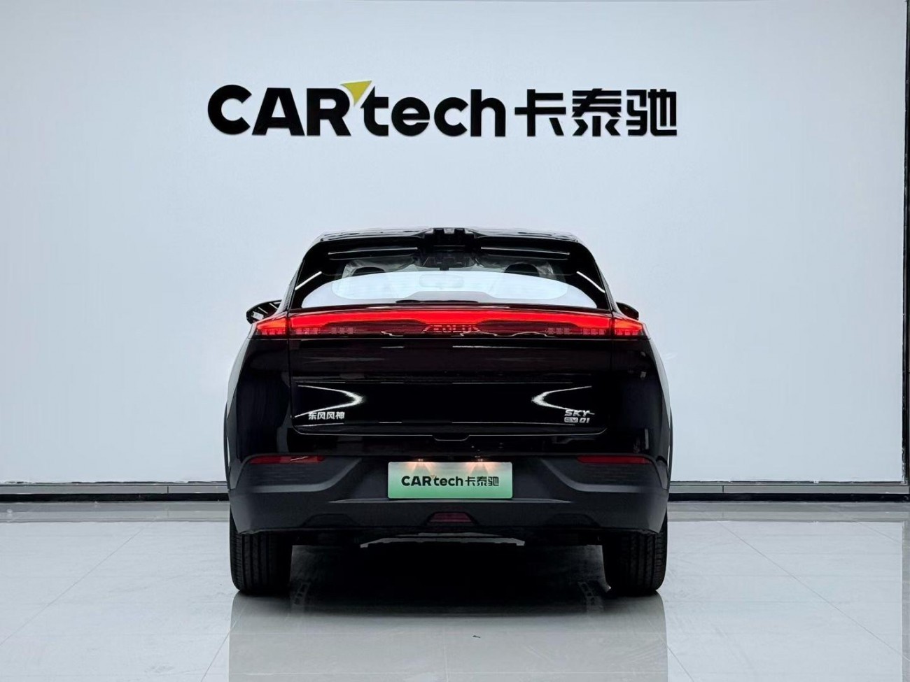 Dongfeng SKY EV01 2025
