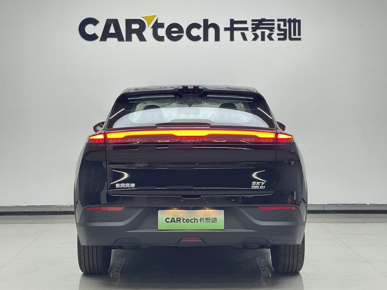 Dongfeng SKY EV01 2025