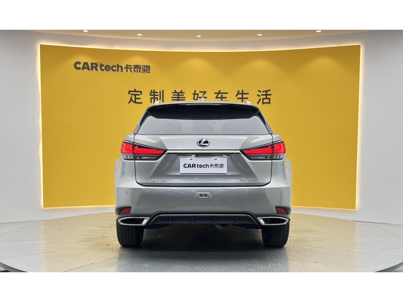 Lexus RX 300 2020