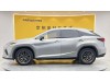 Lexus RX 300 2020