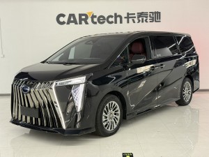 Trumpchi M8 2024